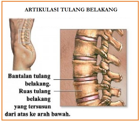 gerklės sąnarių kojų sieros apsiaustas gydymas sąnarių