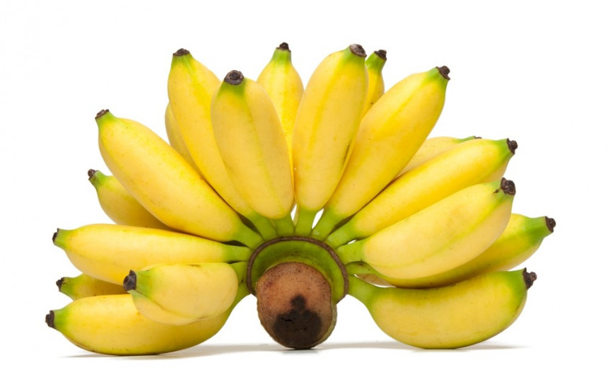 tinktūros dėl bananų sąnarių gydymo