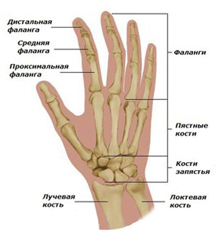 tradiciniai metodai gydant osteoartritą iš rankų pigus tepalas