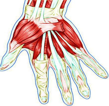 uždegimas bendra šepečio rankų gydymo sąnarių ligos gydymo metodai