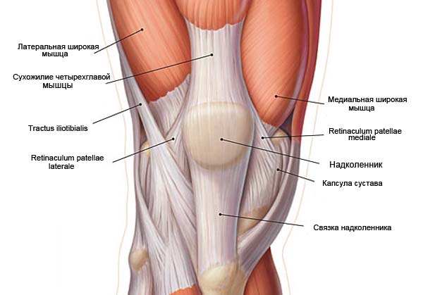 kiek trunka reabilitacija po kojos luzio geliai ir tepalai skirti sąnarių gydymo